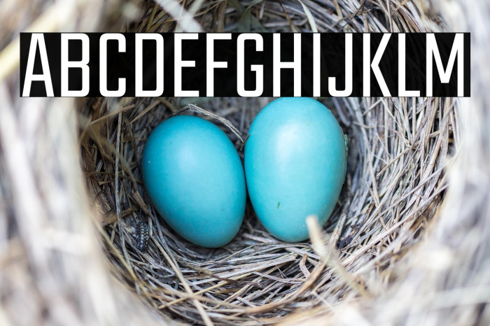 Teko Light Example 3