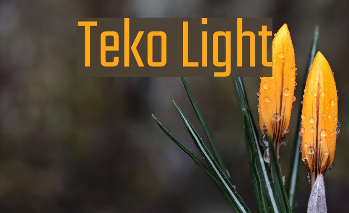Teko Light Example 2