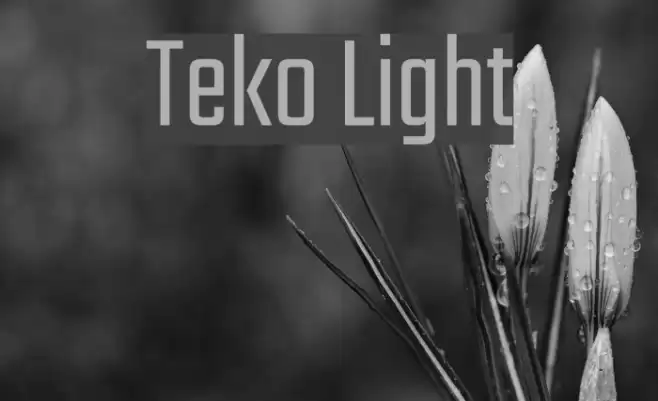 Teko Light Font examples