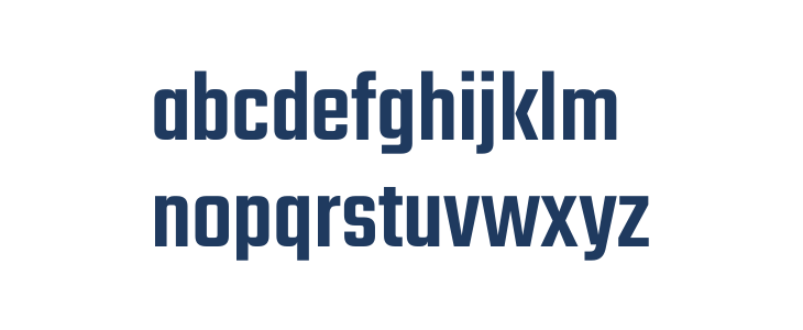 Teko Medium Lowercase