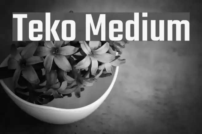 Teko Medium Font examples
