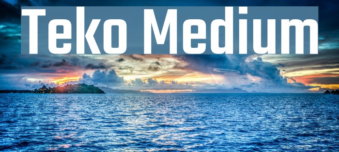 Teko Medium Font examples