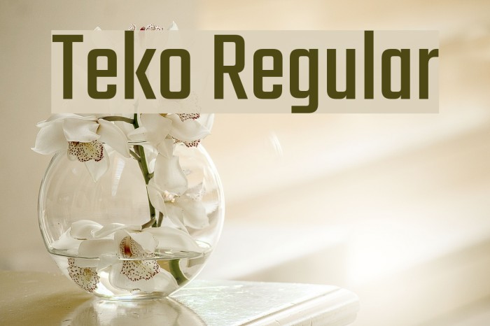 Teko Regular Font examples
