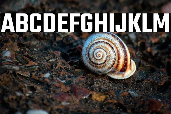 Teko SemiBold Example 3