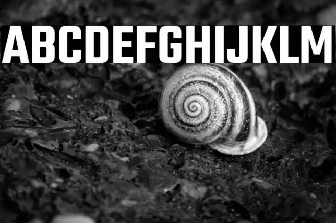 Teko SemiBold Fuentes examples