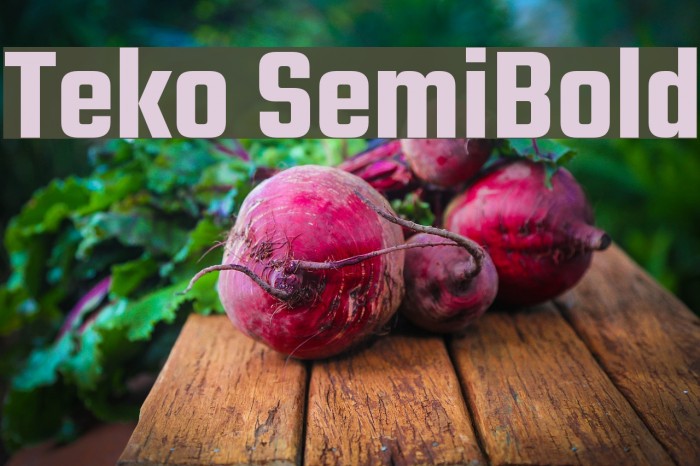 Teko SemiBold Example 1