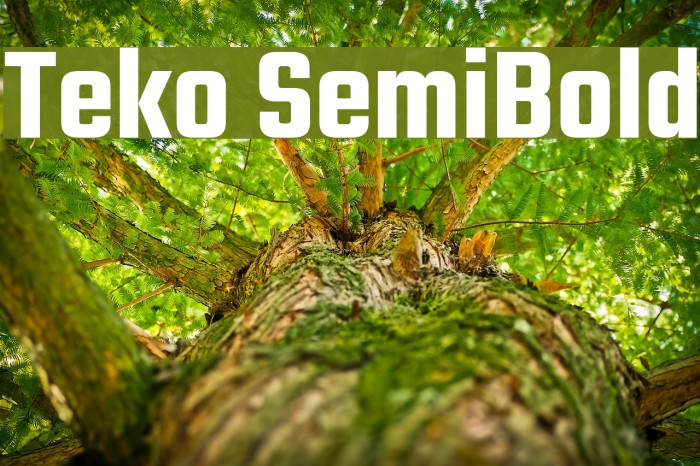 Teko SemiBold Example 3