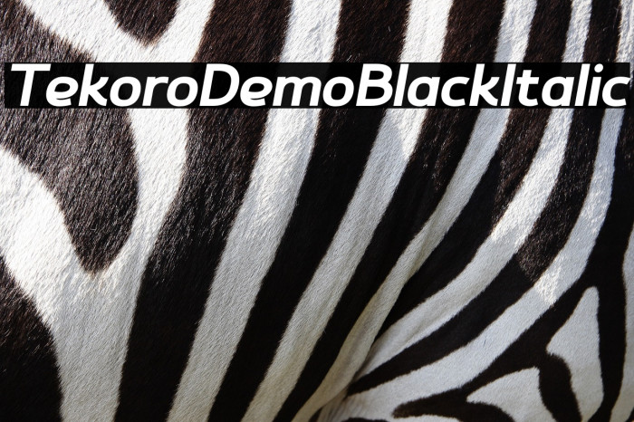 Tekoro Demo Black Italic Example 3