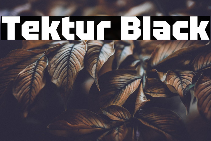 Tektur Black Example 1