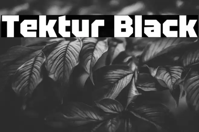 Tektur Black Font examples