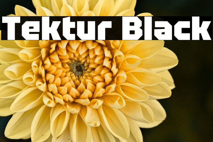 Tektur Black Example 2