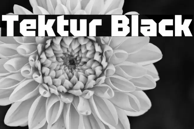 Tektur Black Font examples