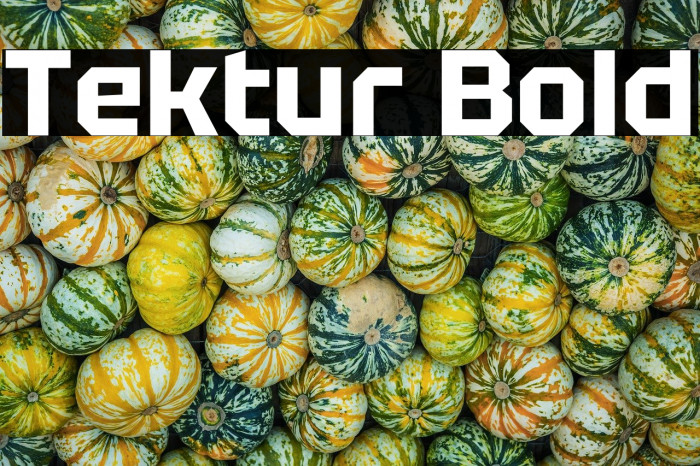 Tektur Bold Example 3