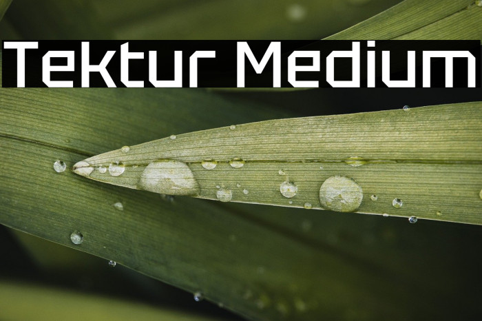 Tektur Medium Example 1