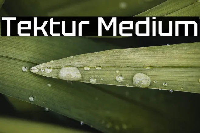 Tektur Medium Example 1