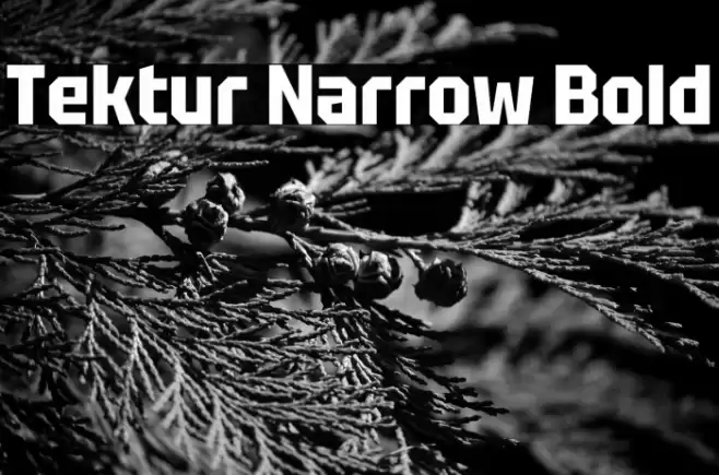 Tektur Narrow Bold Font examples