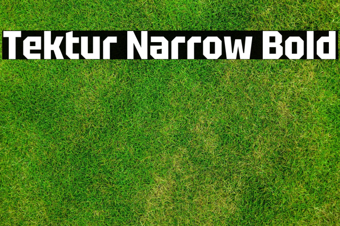 Tektur Narrow Bold Example 2