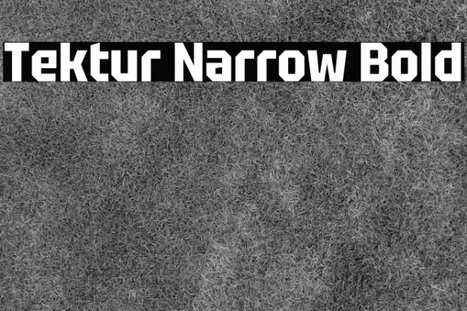 Tektur Narrow Bold Font examples