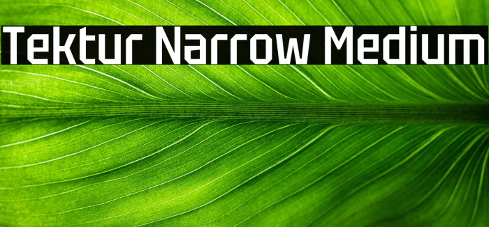 Tektur Narrow Medium Example 2