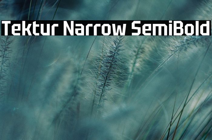 Tektur Narrow SemiBold Example 3