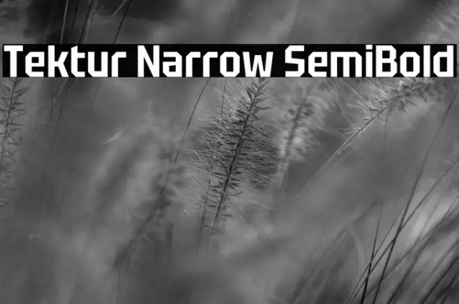 Tektur Narrow SemiBold Font examples