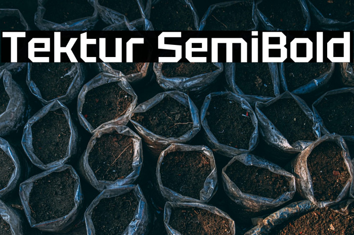 Tektur SemiBold Example 1