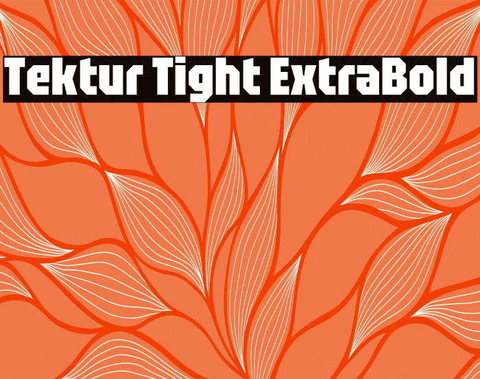 Tektur Tight ExtraBold Example 3