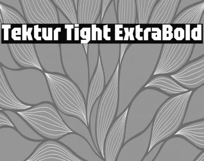 Tektur Tight ExtraBold Font examples