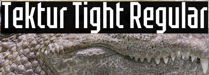 Tektur Tight Regular Example 1