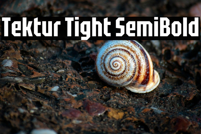 Tektur Tight SemiBold Example 1