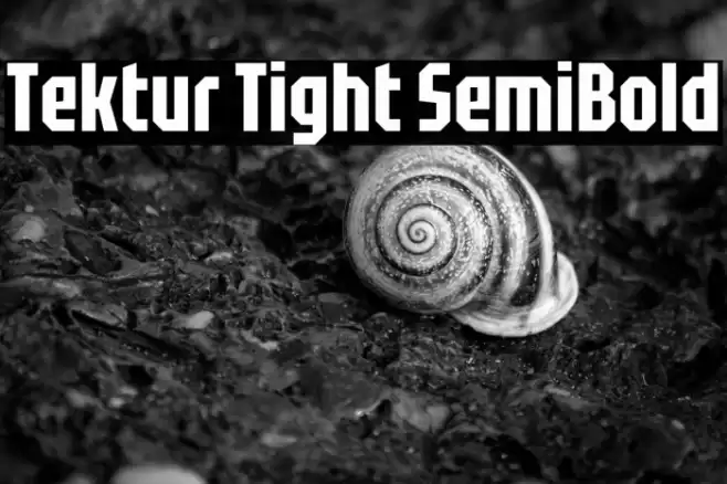 Tektur Tight SemiBold Font examples