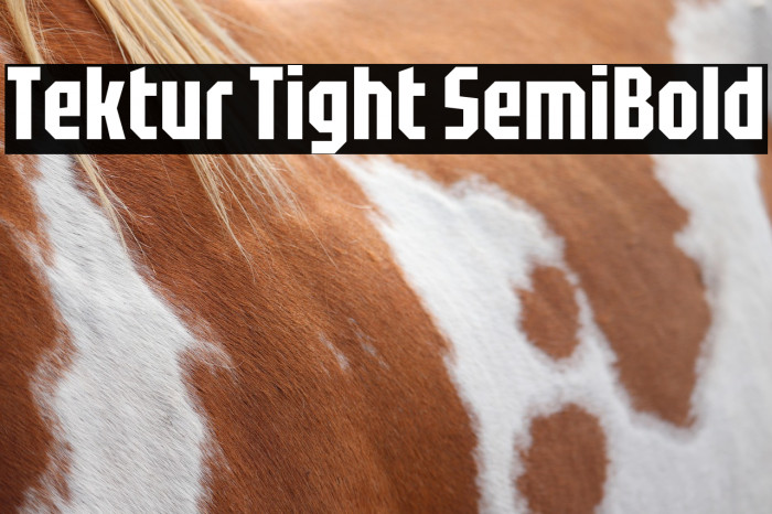 Tektur Tight SemiBold Example 2