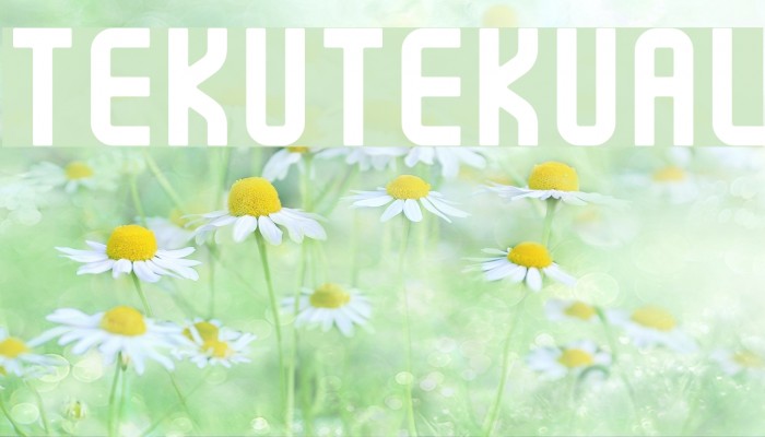 TekutekuAL Example 1