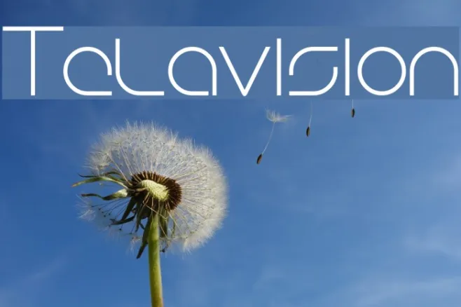 Telavision Example 3