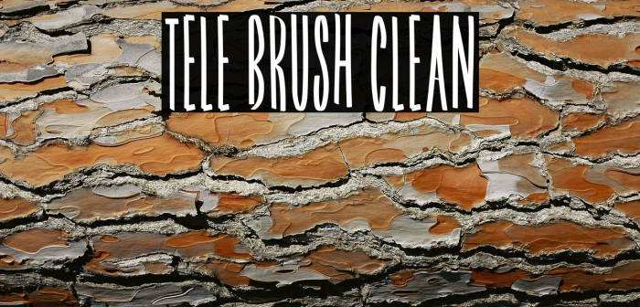 Tele Brush Clean Example 1