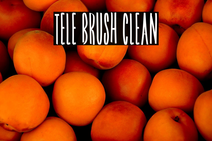 Tele Brush Clean Example 2