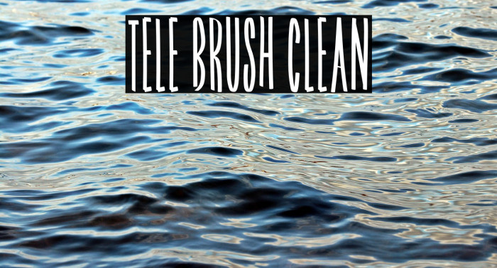Tele Brush Clean Example 3