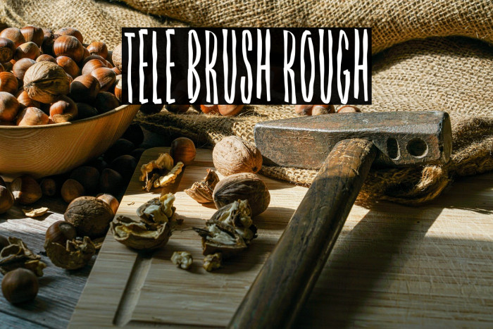 Tele Brush Rough Example 2