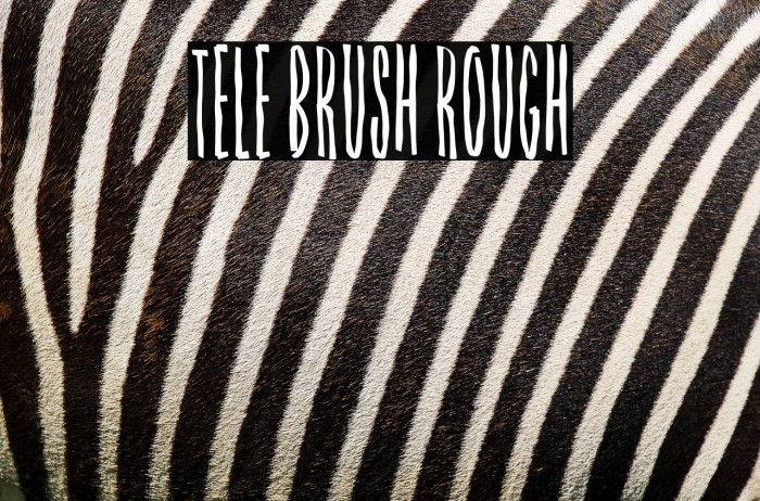 Tele Brush Rough Example 3