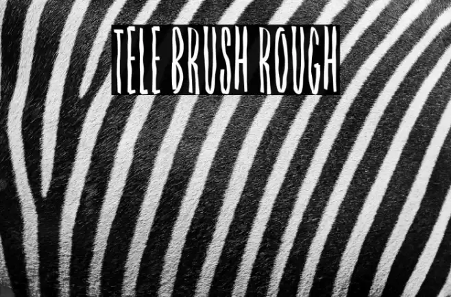 Tele Brush Rough Font examples
