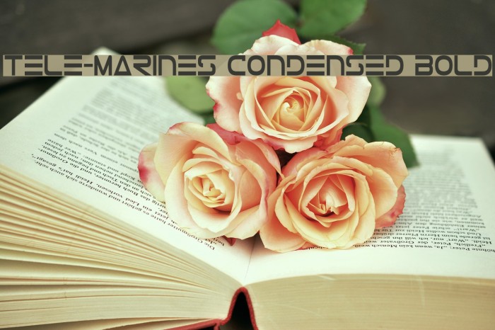 Tele-Marines Condensed Bold Font examples