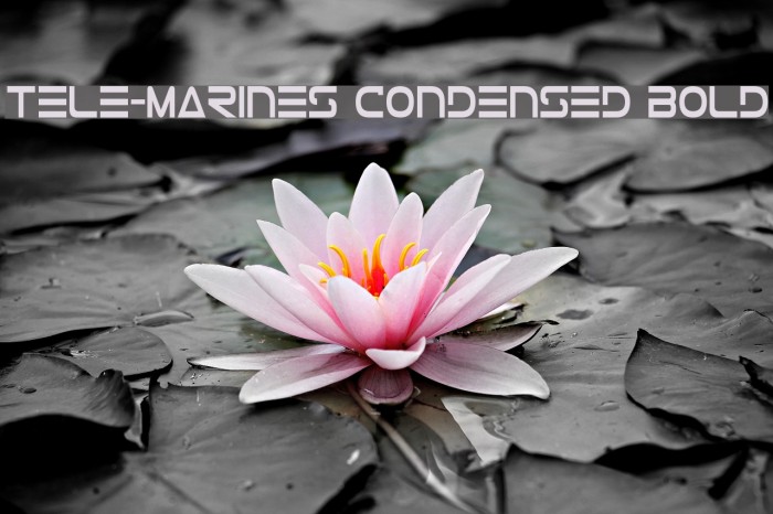 Tele-Marines Condensed Bold Font examples