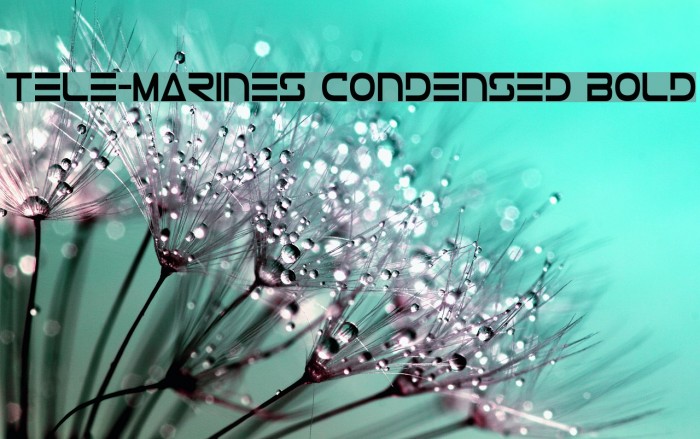 Tele-Marines Condensed Bold Font examples
