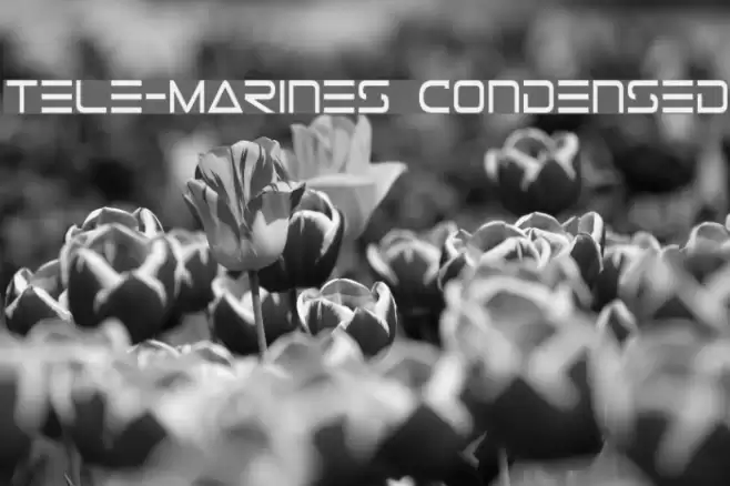 Tele-Marines Condensed Font examples