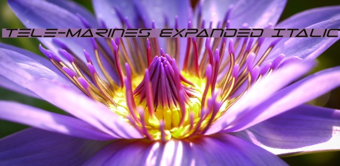 Tele-Marines Expanded Italic Example 2