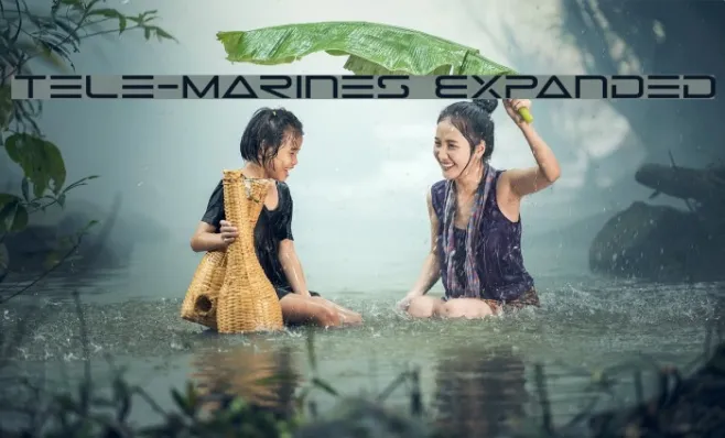 Tele-Marines Expanded Example 1