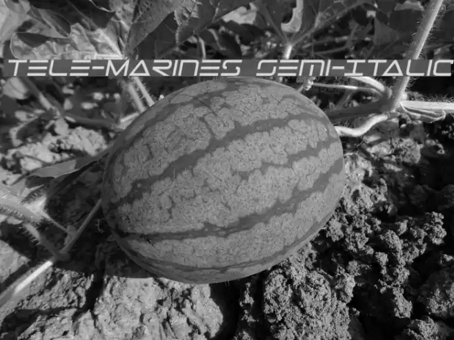 Tele-Marines Semi-Italic Font examples