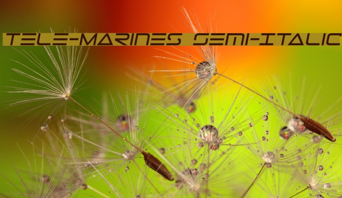 Tele-Marines Semi-Italic Example 3