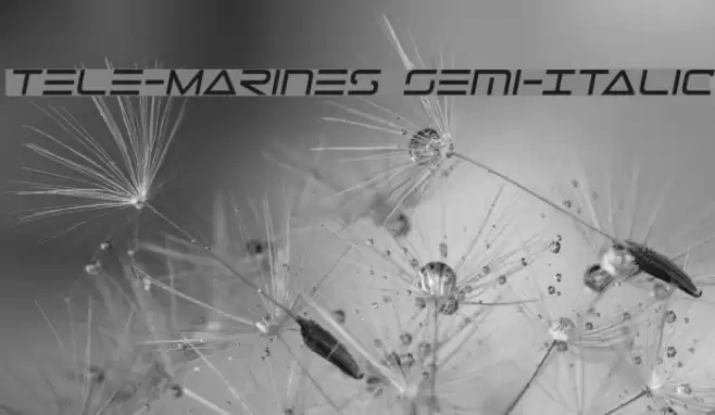 Tele-Marines Semi-Italic Font examples