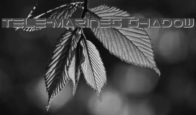 Tele-Marines Shadow Font examples